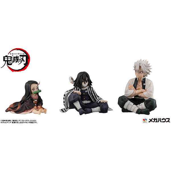 G.E.M. Series  Demon Slayer：Kimetsu no Yaiba  Palm size Shinazugawa-san