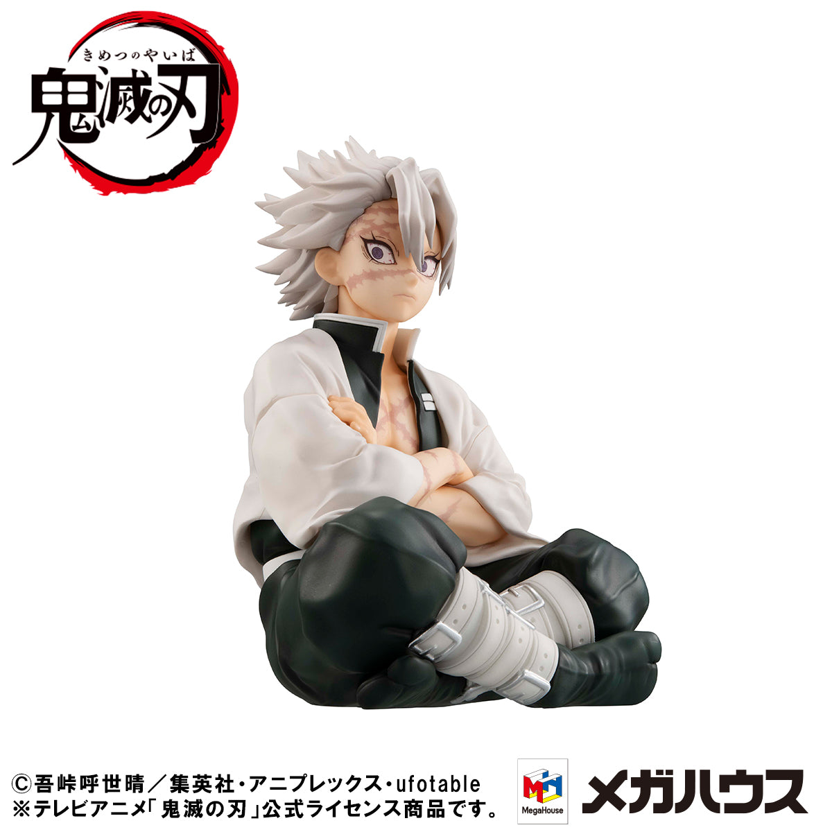 G.E.M. Series  Demon Slayer：Kimetsu no Yaiba  Palm size Shinazugawa-san【with gift】