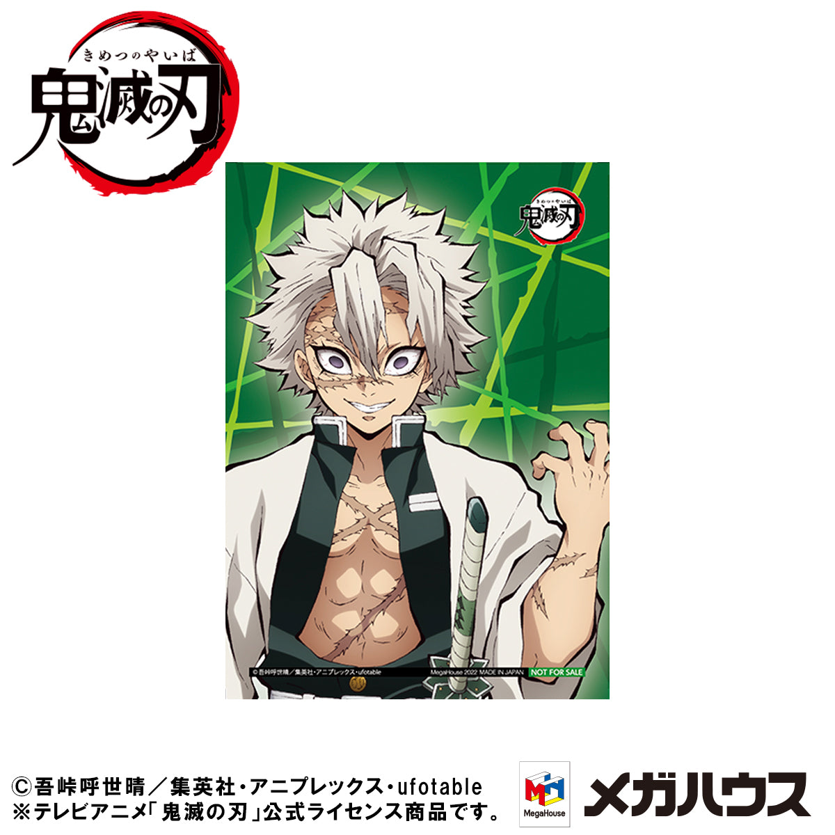 G.E.M. Series  Demon Slayer：Kimetsu no Yaiba  Palm size Shinazugawa-san【with gift】