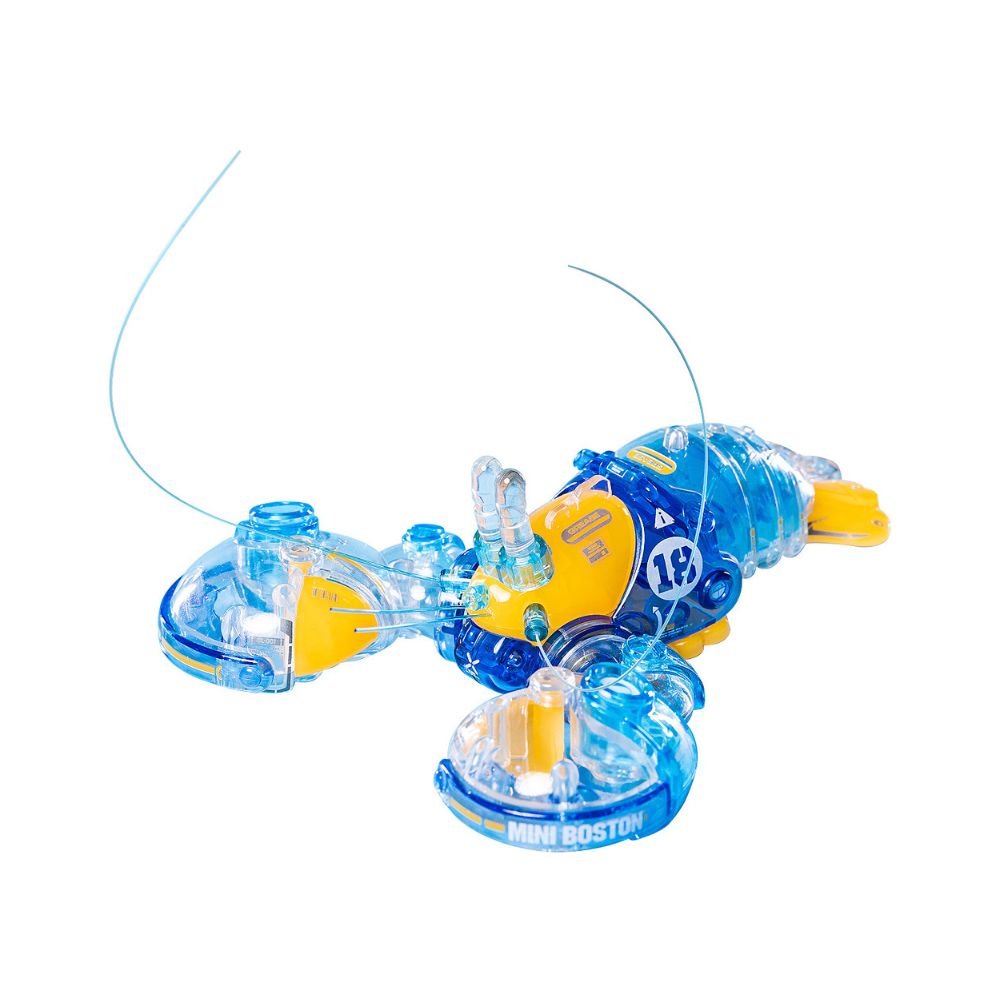 Boston Lobster (Crystal Blue)