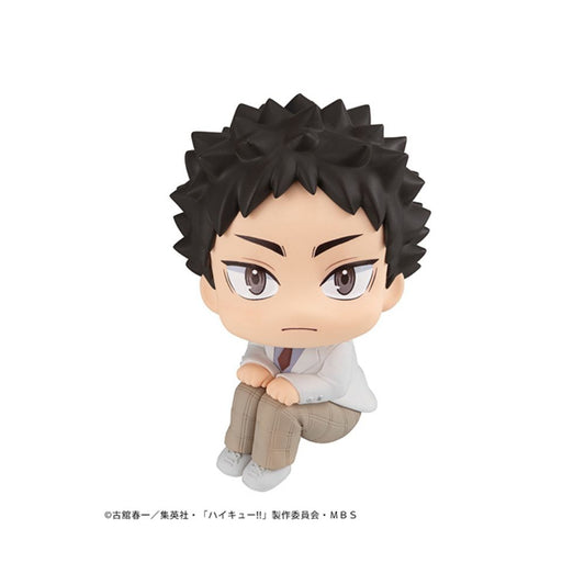 Lookup Haikyu！！ Hajime Iwaizumi