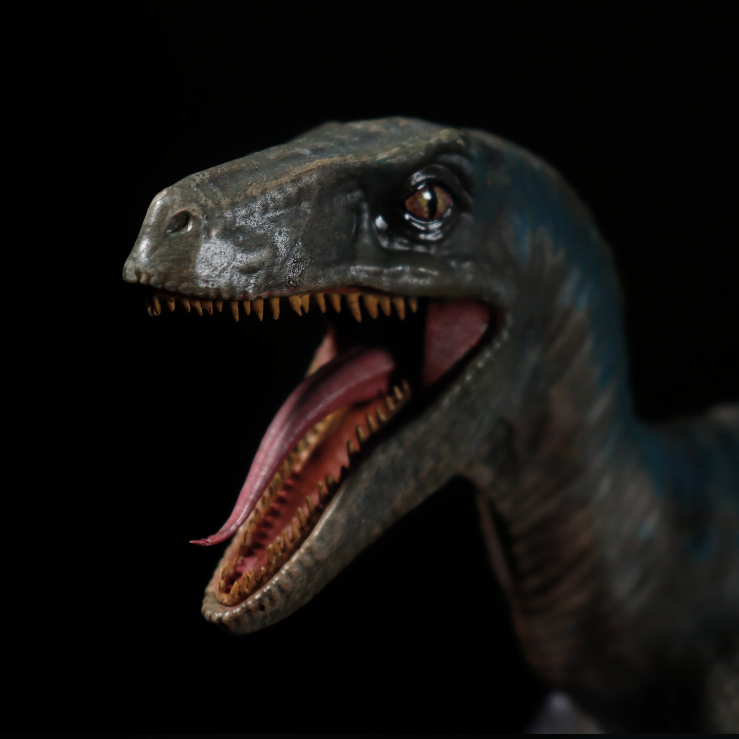 Blue Jurassic World Limited Edition Bust