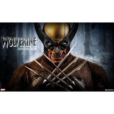 Hottoys Action Figures Wolverine Sixth Scale Figure
