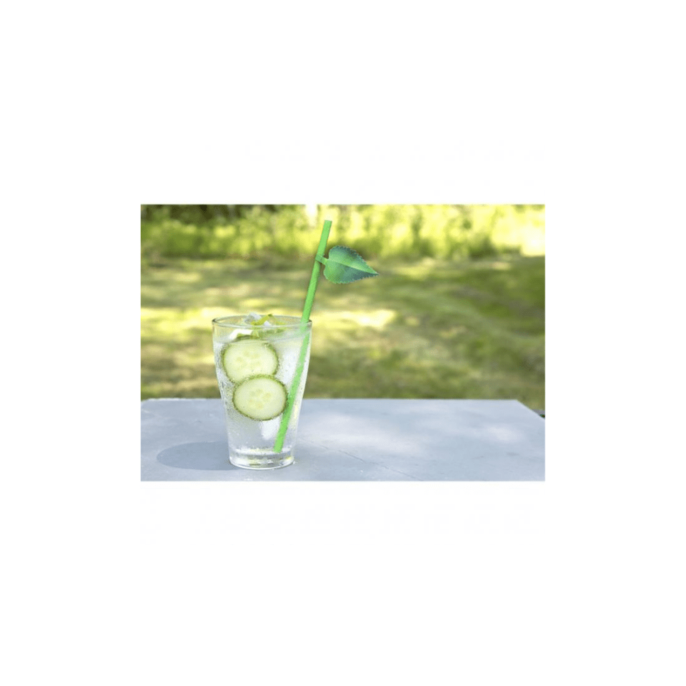 Kikkerland Novelty Leaf Paper Straws