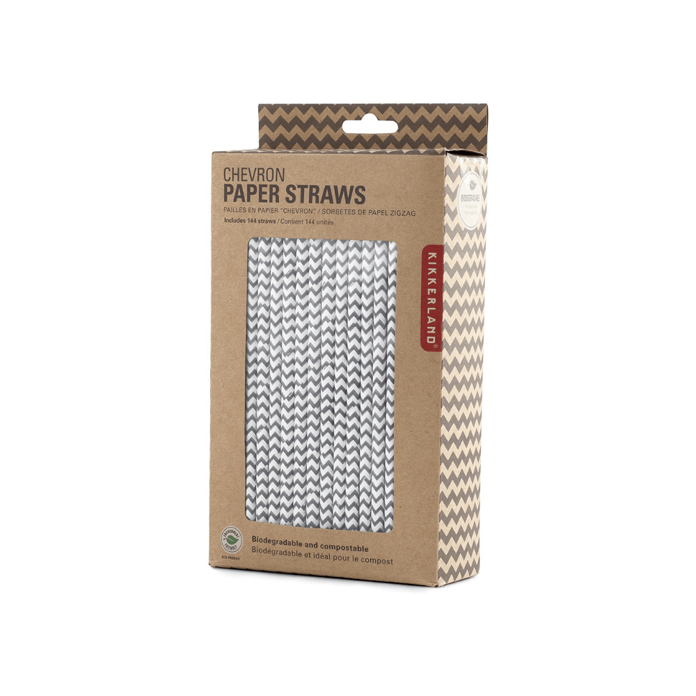 Kikkerland Novelty Paper Straws Silver