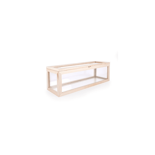 Kikkerland Novelty Small Glass Storage Box