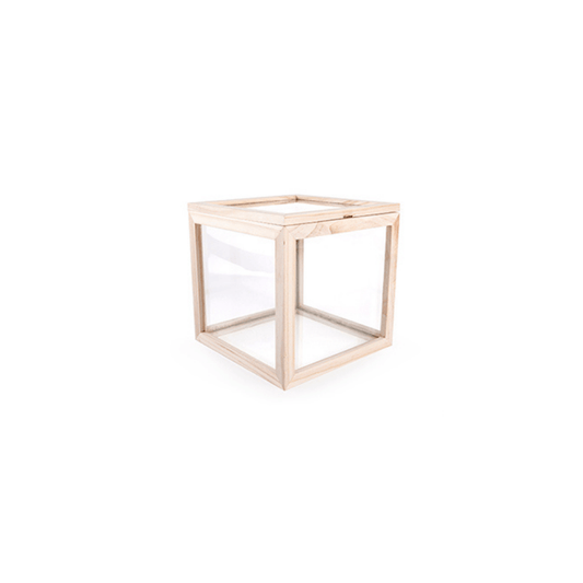 Kikkerland Novelty Square Glass Storage Box