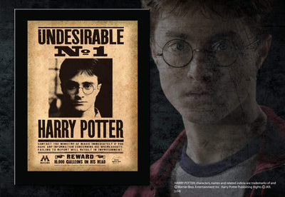 Noble Collection Harry Potter Undesirable No. 1 Sign